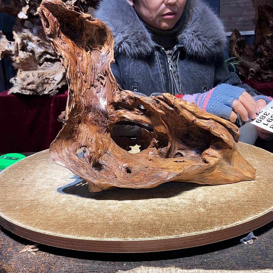 名***耀387。株木随行根艺