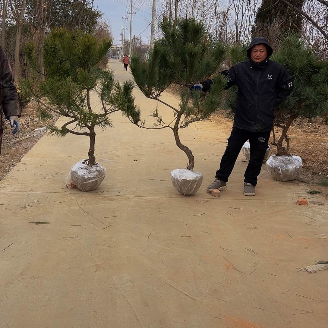 翠*8888888888888888