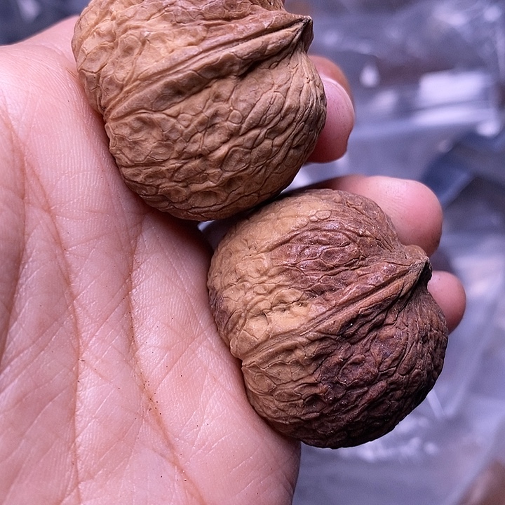 把件文玩核桃   169