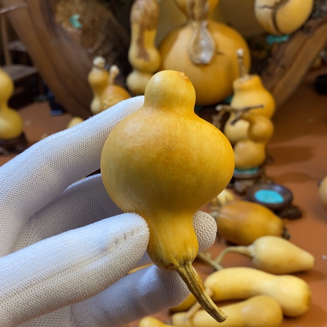 水***鑫教练教练教练咯教练咯啊