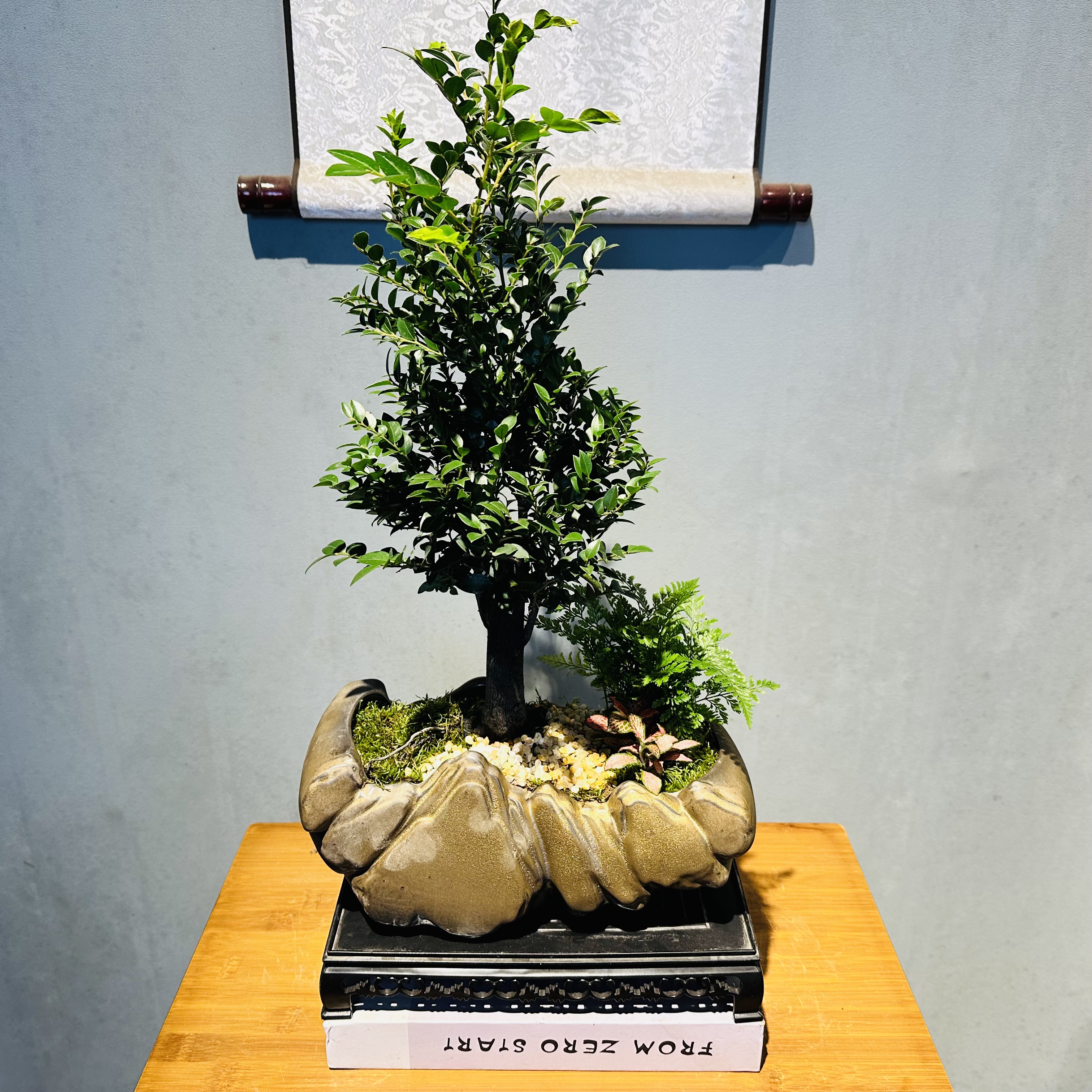 单杆小叶紫檀黑骨茶+日照金山陶瓷盆+接水盘