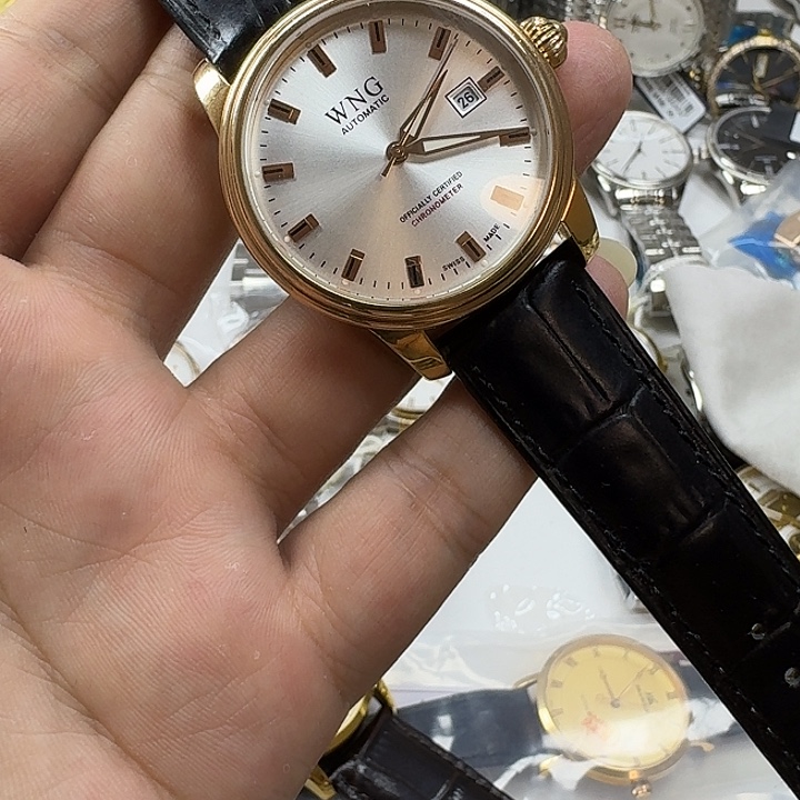 机械全自动表一支
