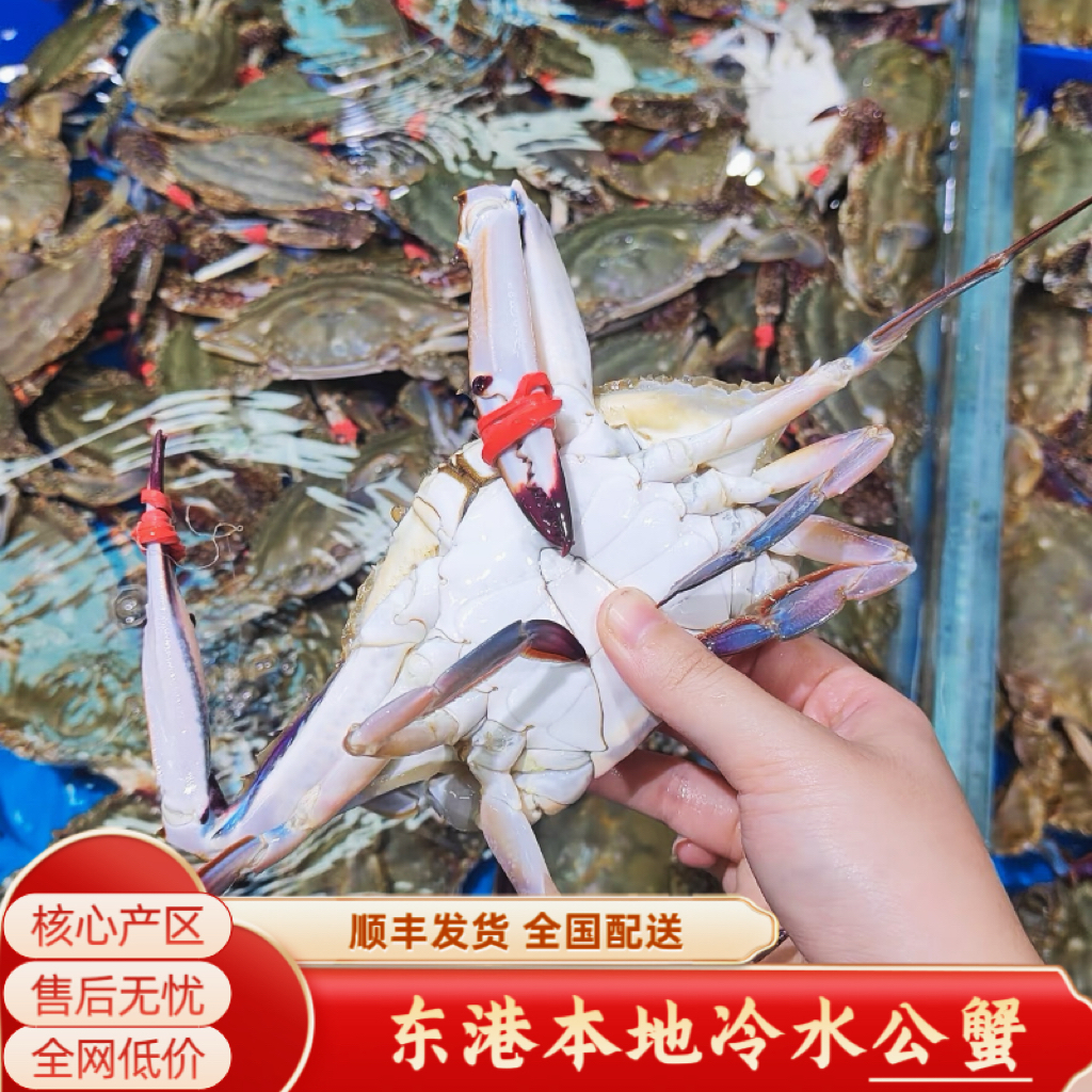 【保鲜不保活】东港小船冷水公梭子蟹3~4两/只  3只左右/1斤
