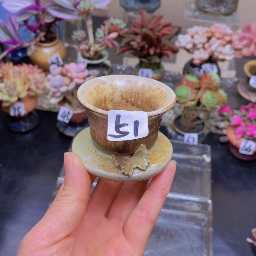 余****花钱花钱花钱花钱花钱