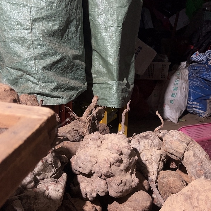 无花朵何首乌下山货保证野生