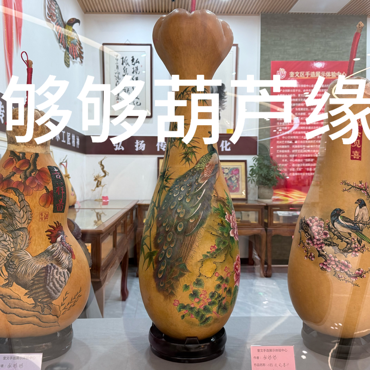 直播间一物一拍葫芦