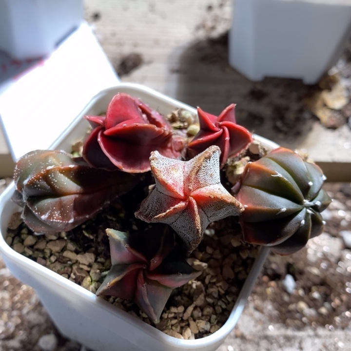 13277一组一组一组