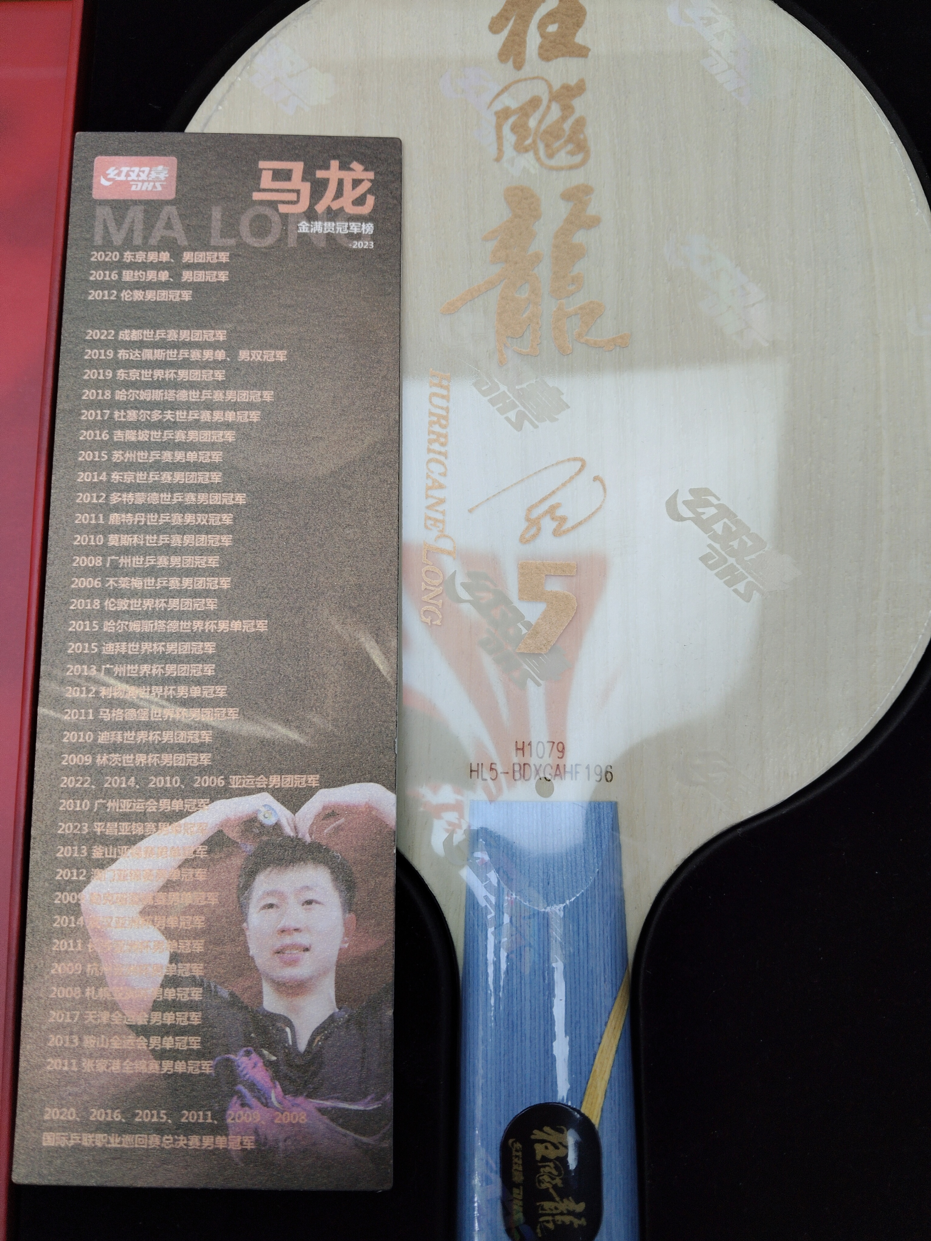 狂飙龙5官方正品（直）