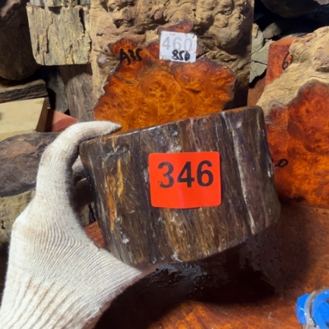 大果紫檀（缅甸花梨）