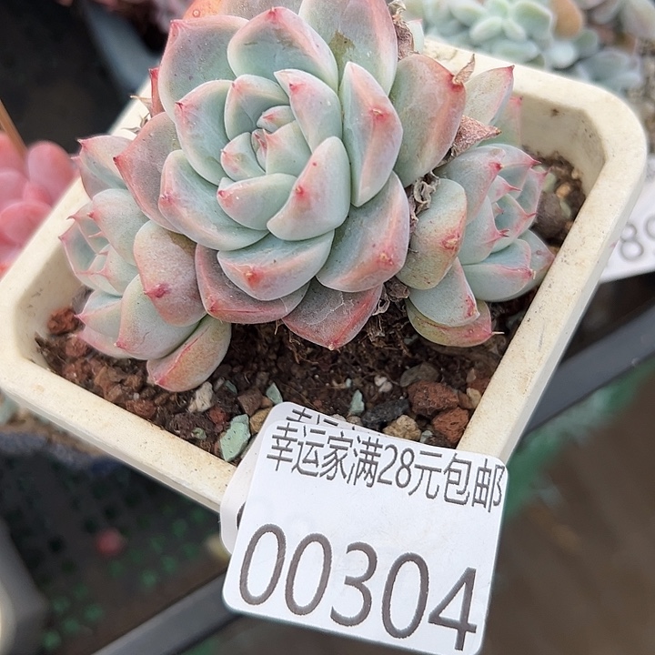 0***0幸运的人是你啊你的小