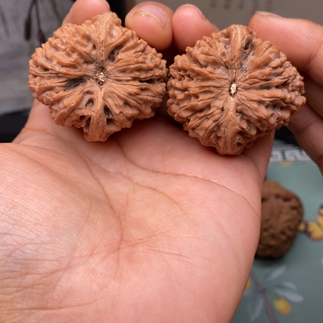 文玩核桃把件38大蒜头