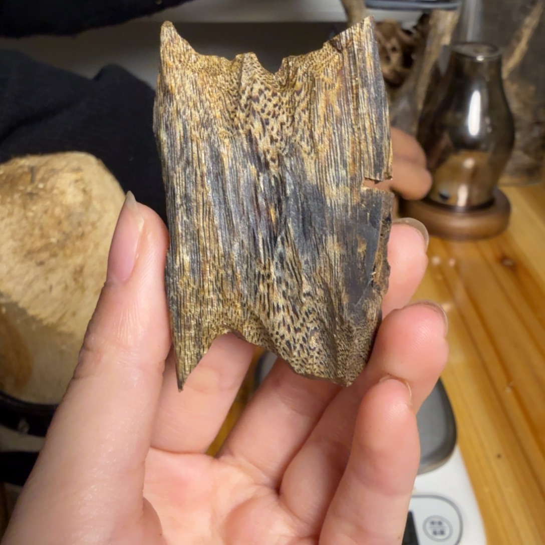 沉香篮宝石虫漏香10克