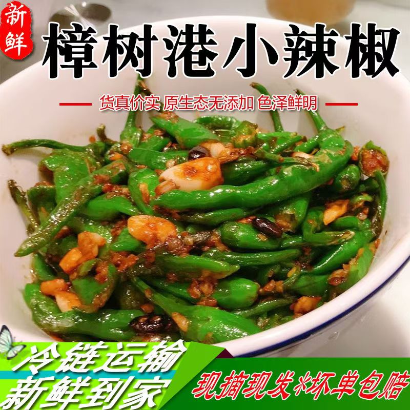 【中辣】正宗樟树小辣椒本地新鲜青椒虎皮新鲜现摘小辣椒