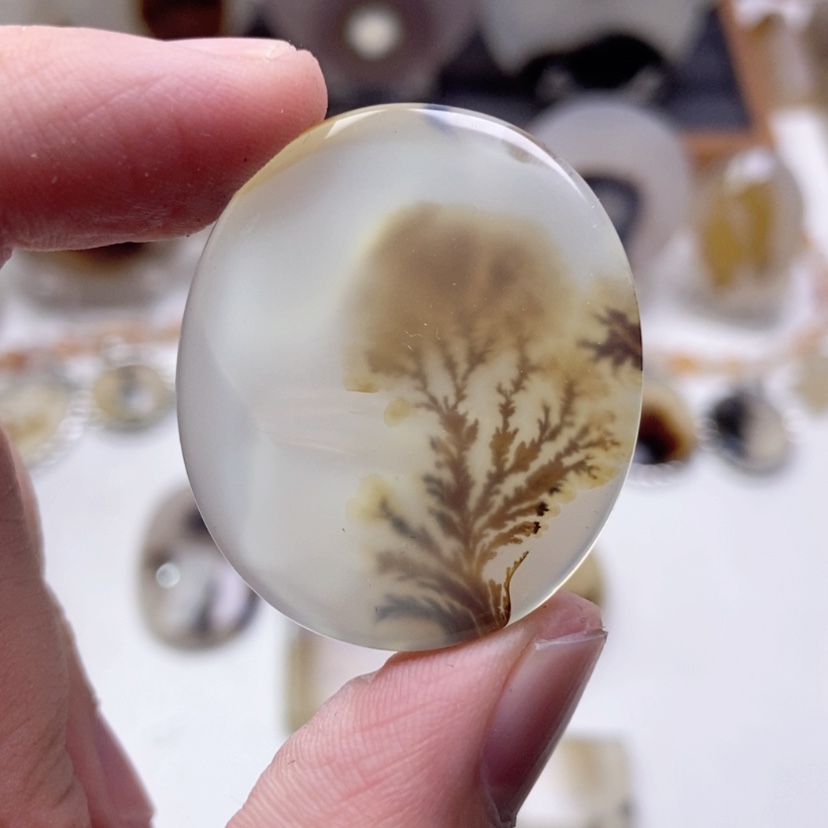 【闪购商品】玛瑙/玉髓颈饰未镶嵌