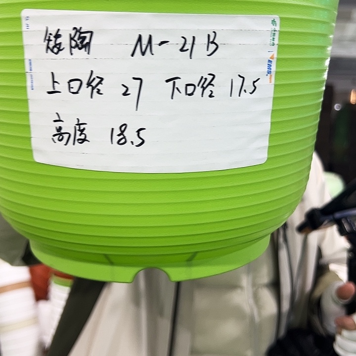 正品矮陶口27高18果绿色6个无托