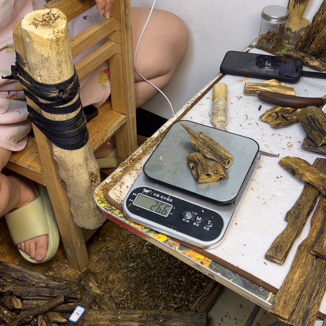 线香奇楠虫漏香26克