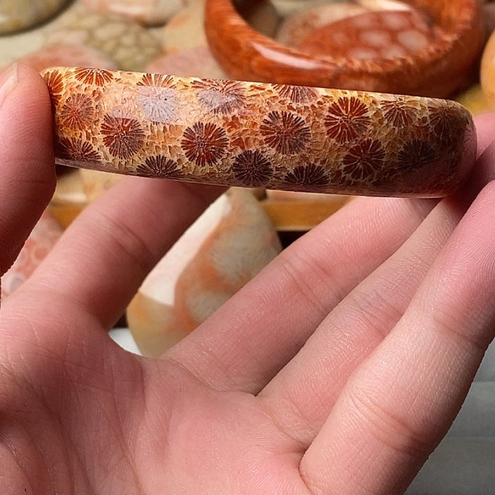 黄***主硅化珊瑚未镶嵌颈饰