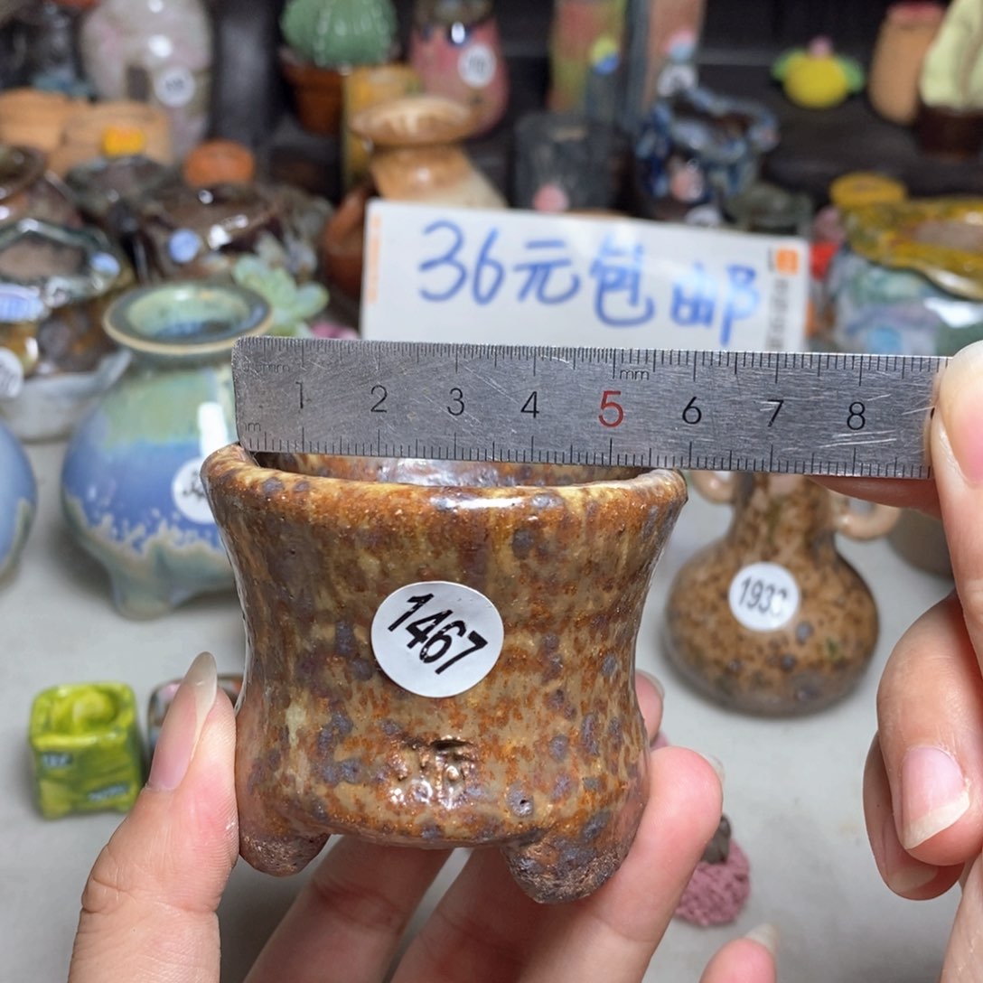拍3送个9.9，拍5送一同款