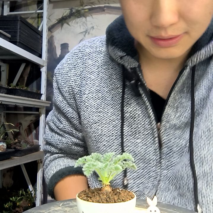 9***…中青园艺一物一拍花147