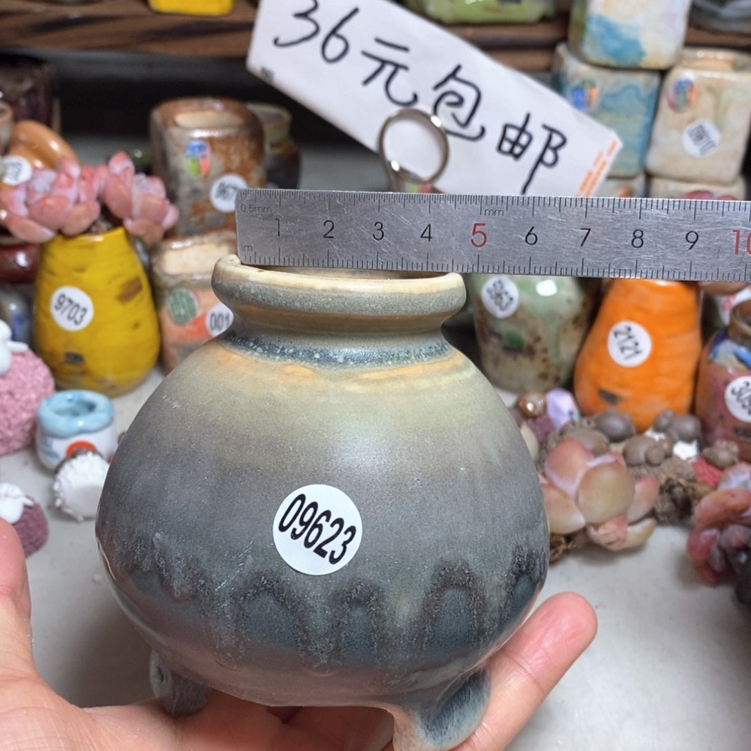 拍5送一个小礼物