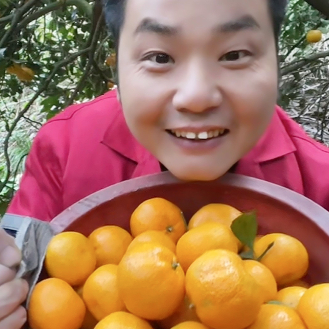 平江本地碰柑柑橘现摘现发七分甜三分酸