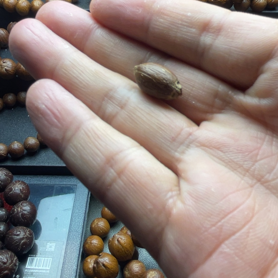 虚***在紫金鼠手串10尺寸天地孔36颗手持定制