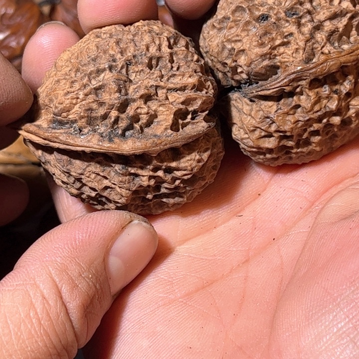 文玩核桃吊坠滇西31