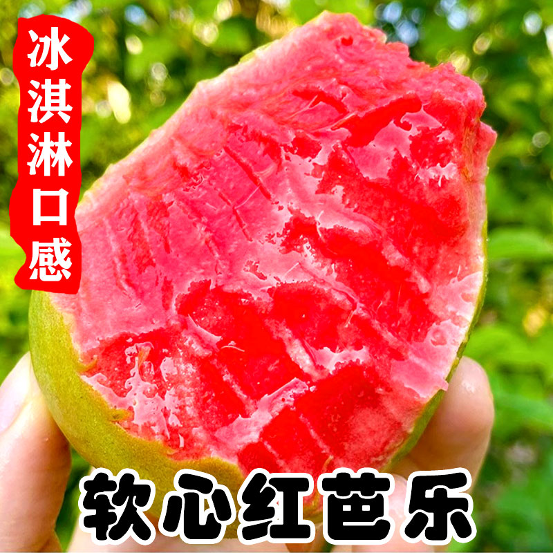 广西红心白心芭乐软心番石榴新鲜水果红心软芭乐 坏果包赔