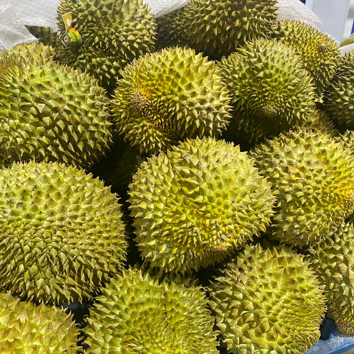 芳姐2号秤【顺丰或邮政空运】一物一拍 金枕榴莲整颗带壳软糯香甜