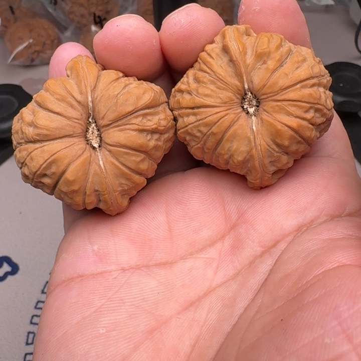 桃核把件山地南瓜44尺9