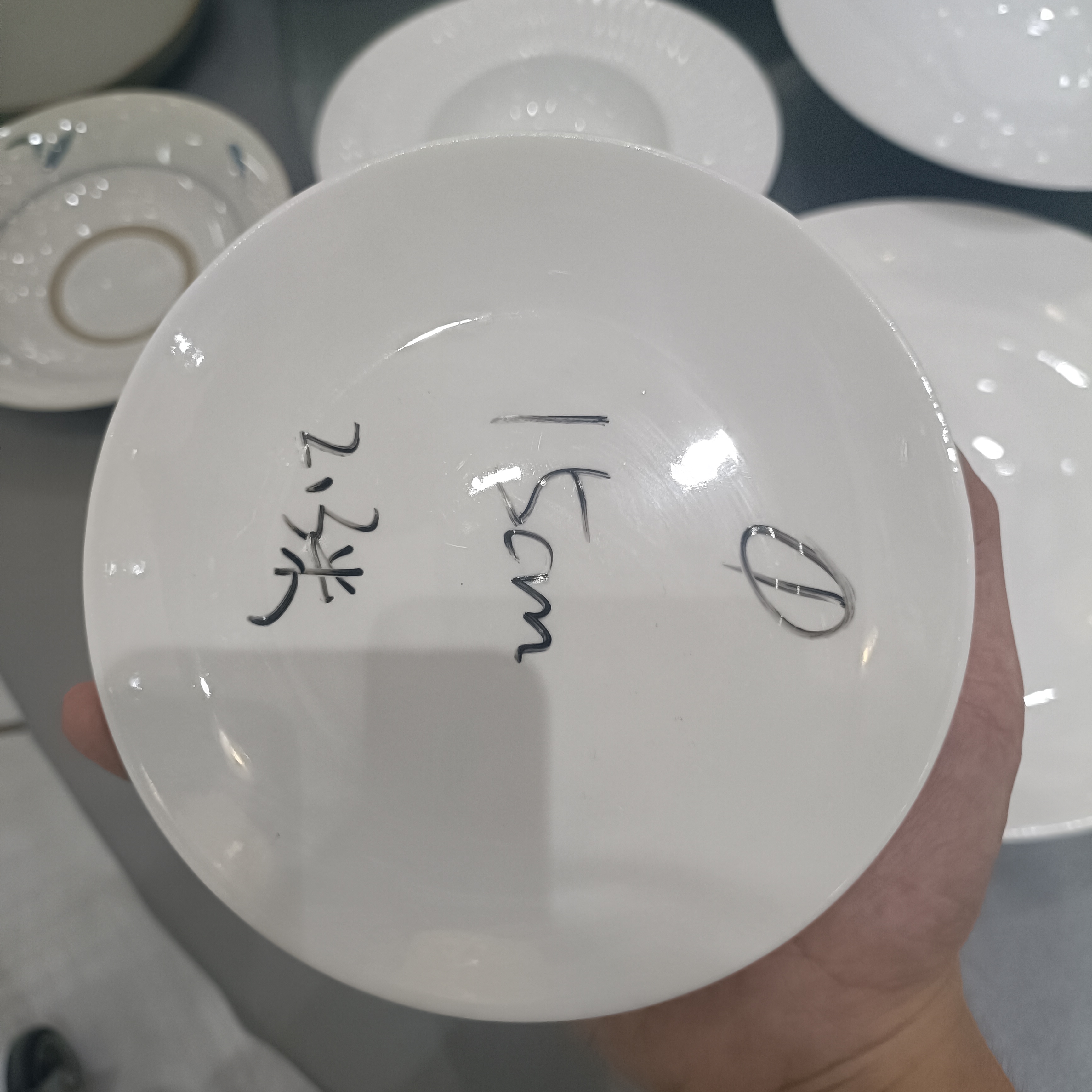 6寸浅式盘9045047（12个）