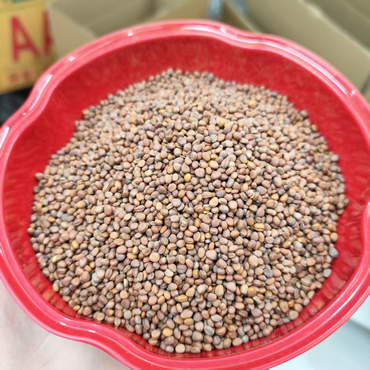 莱菔子250g中药材新货正品生莱服子