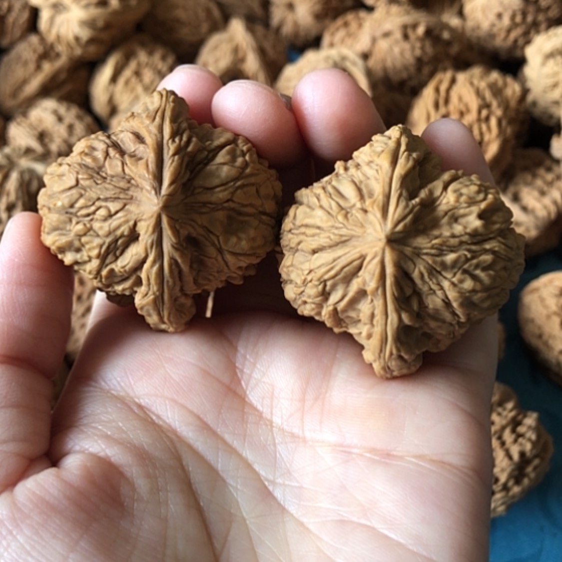 【闪购商品】文玩核桃把件一代将