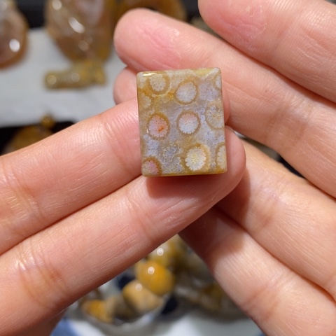 【闪购商品】硅化玉颈饰未镶嵌