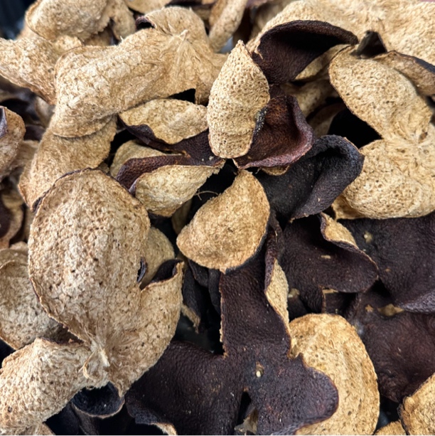 【梁总精选】2018年新会东甲朗交围圈枝陈皮 大红冬后