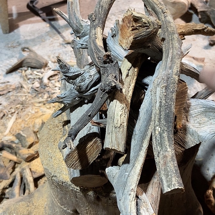 柏木太行山区柏木木木