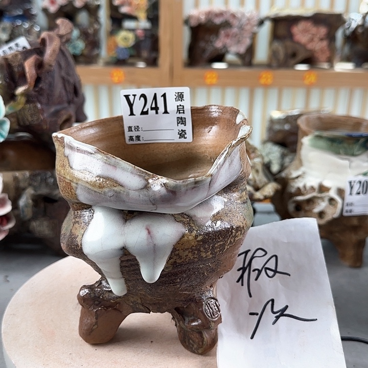 紫砂花盆景德镇陶瓷多肉241