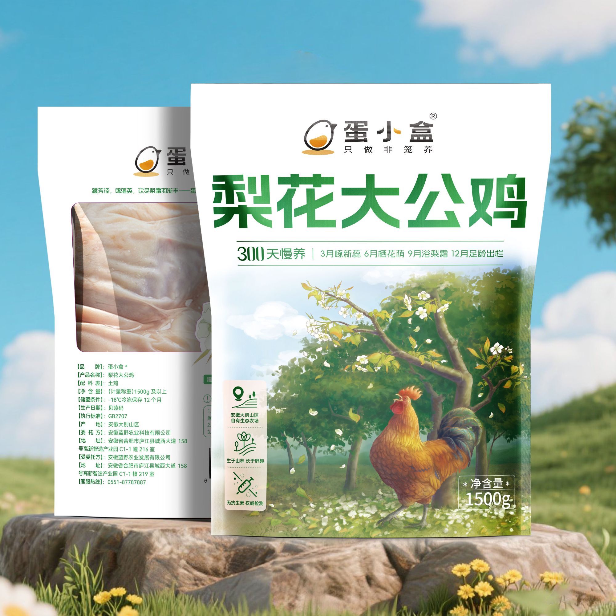 蛋小盒梨花大公鸡安徽大别山区散养300天以上净重3斤适合红烧