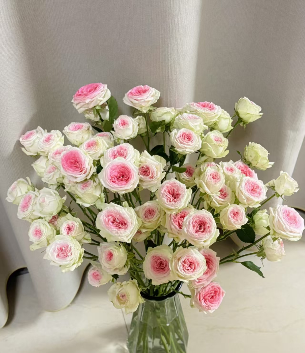 【冰淇淋多头10支】多头 玫瑰 已发货不支持退款 任意两单京东/顺丰