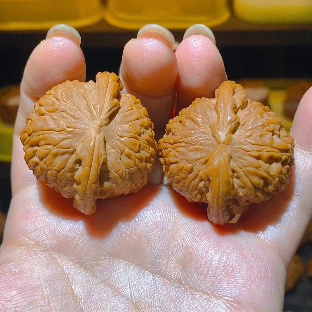 文玩核桃把件42尺寸球白