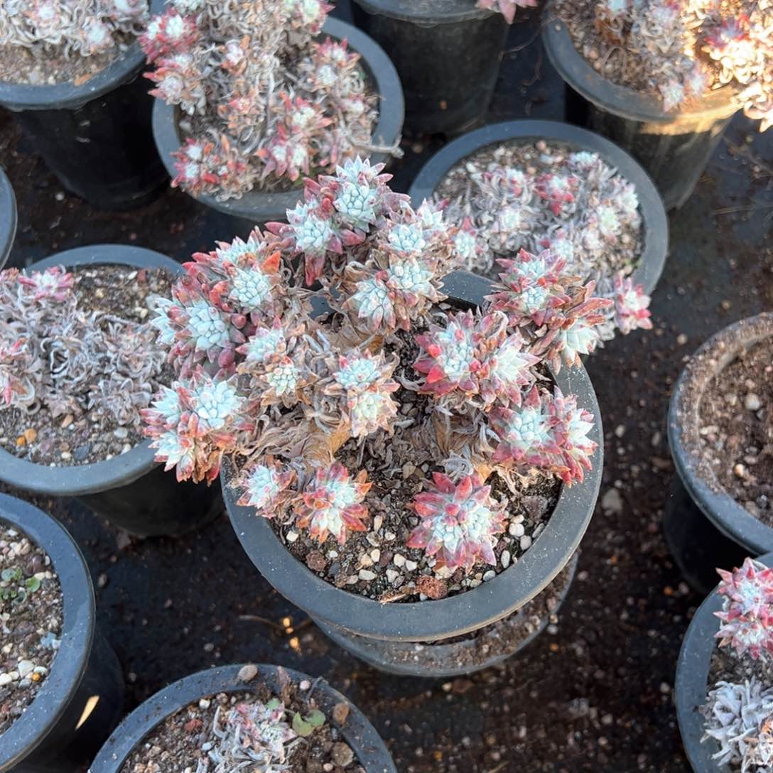 0665哈哈哈哈哈哈哈哈