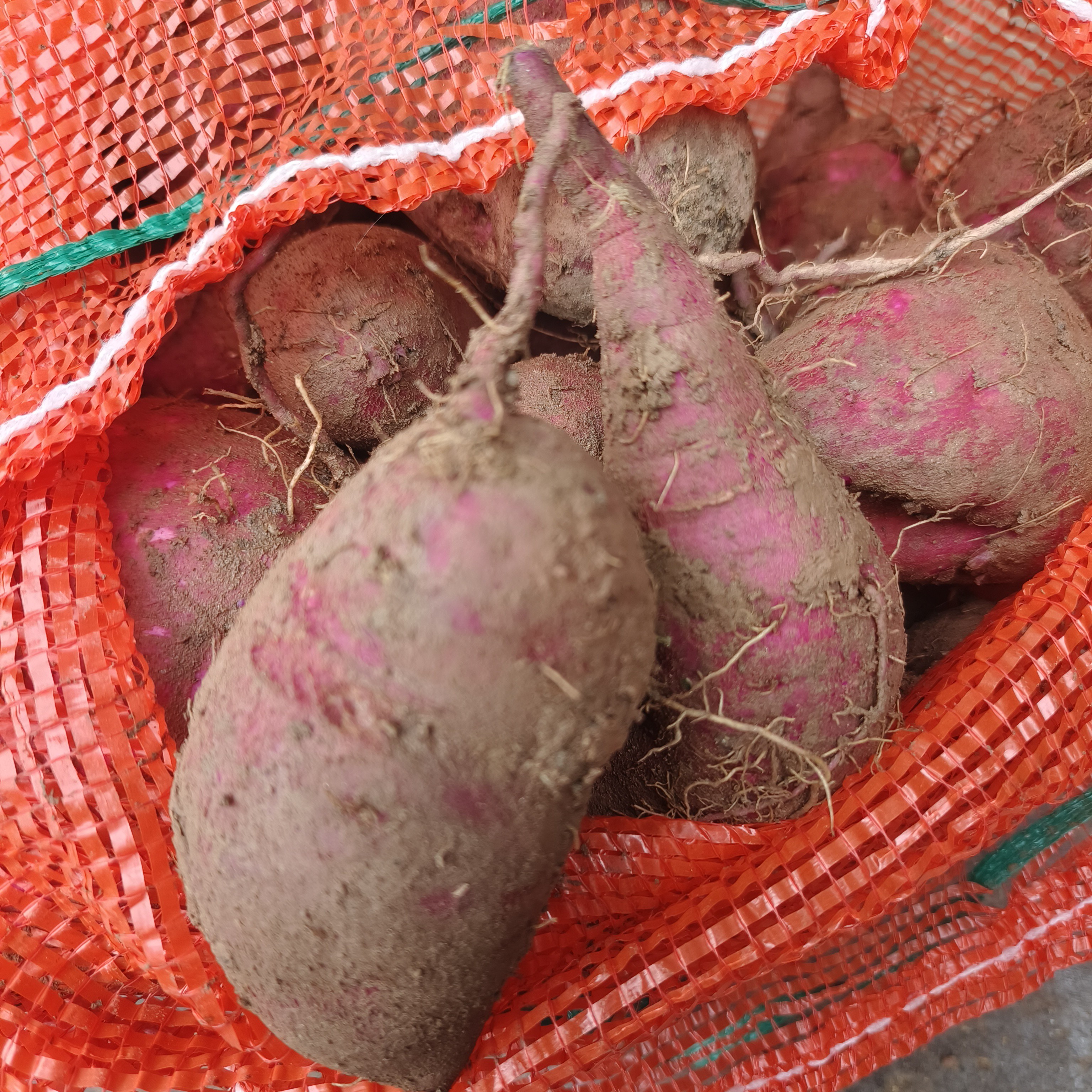 农家 紫皮红心 白心红心 紫皮白心 农家当季红薯