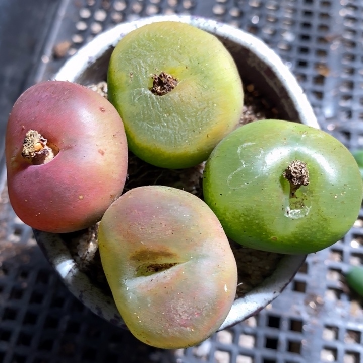 13298有伤一组一组