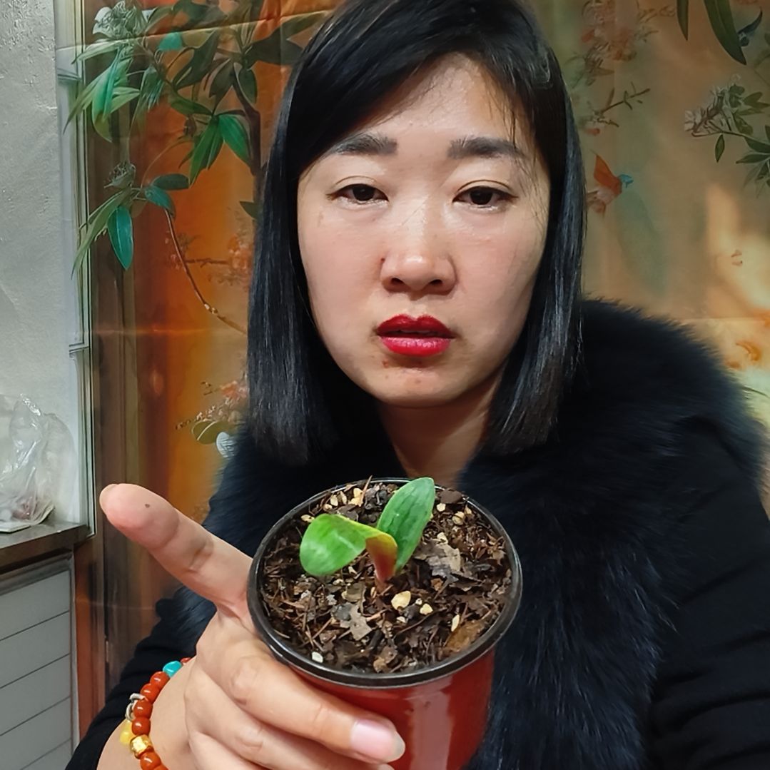 完全开放11111111111