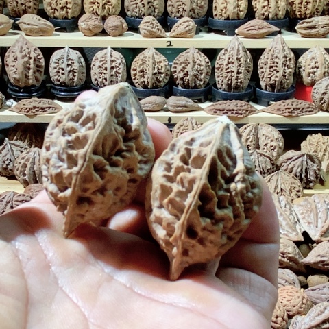 文玩核桃把件锤底