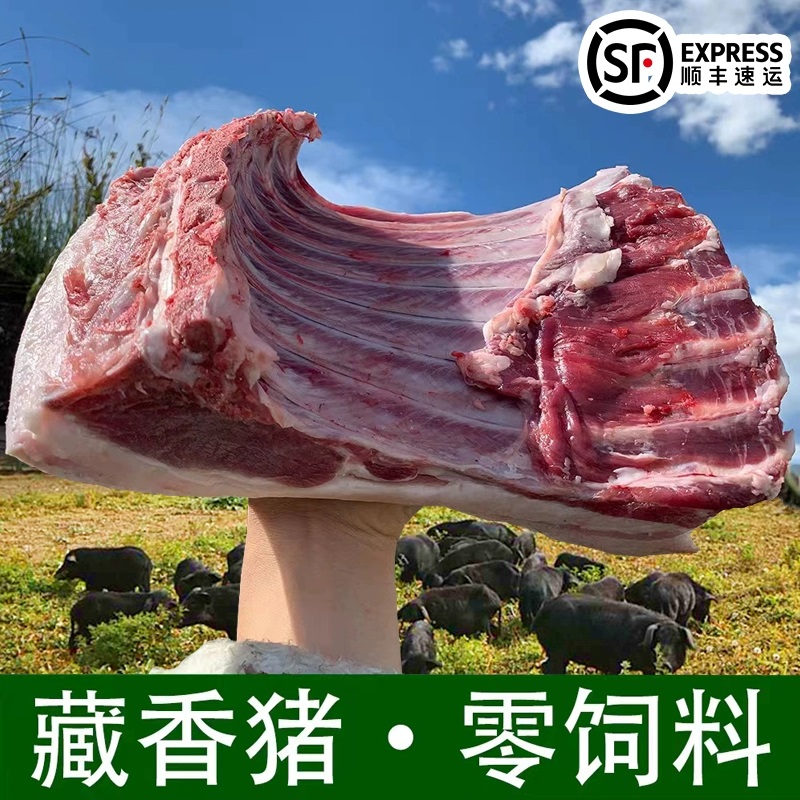 藏香猪跑山猪新鲜猪肉纯天然无激素顺丰冷链包邮排骨五花肉鲜肉