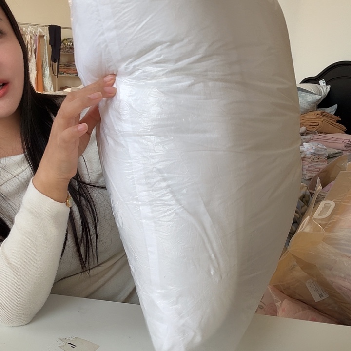 啦***啦棉棉抱枕芯1只全新