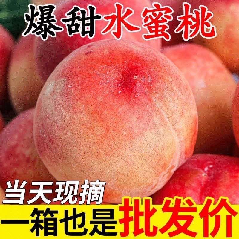 新鲜应季水蜜桃现摘现发软硬两口坏果包赔放心购批发价E