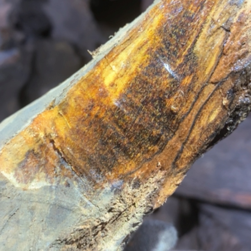 【闪购商品】贡木其他私人订制