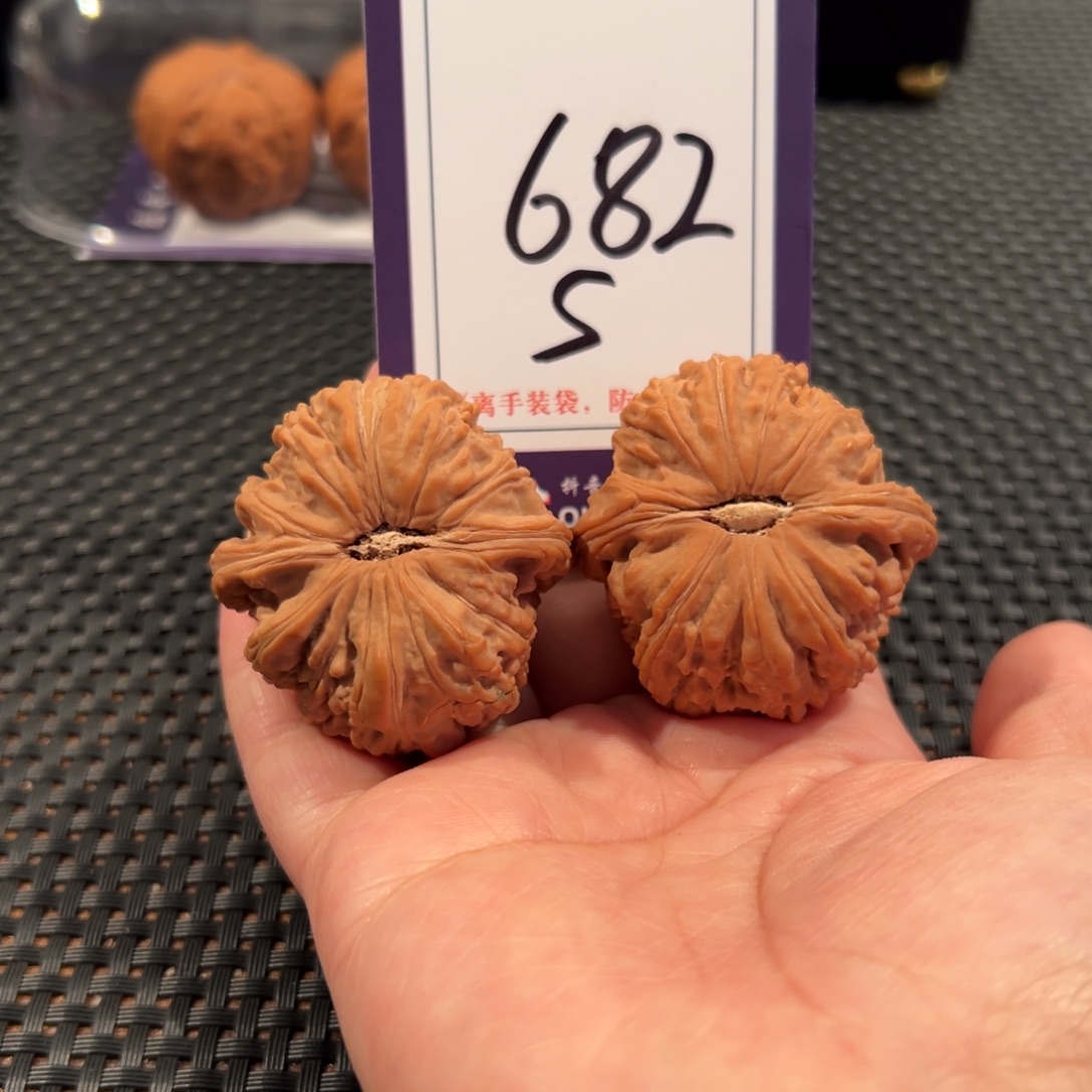 建***。文玩核桃把件682号白狮子41